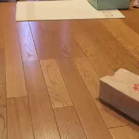 よくあるやつを実験ฅ*’ω’*ฅﾆｬﾝ♪の画像