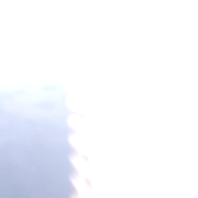 生きるって綺麗❗の画像