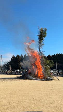 どんどやに行ってきましたの記事動画