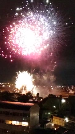 夏休みは花火から〜？の記事動画