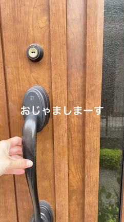 mellowはこんな所の記事動画