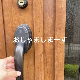 mellowはこんな所の画像