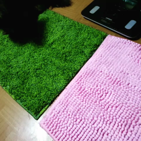 今日は七夕の日の画像