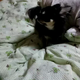 アギトままさんお疲れ様＆おめでとうございます～♪の画像