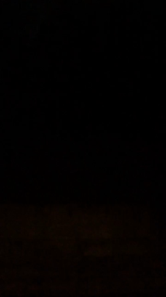 鈴虫の声の記事動画