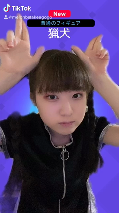 はの記事動画
