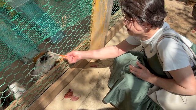 ★癒されることは必要。の記事動画