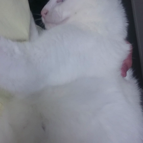 2016/05/15の画像