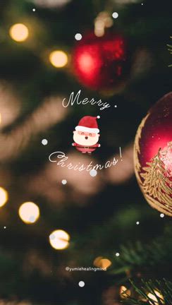 Merry Christmas！の記事動画