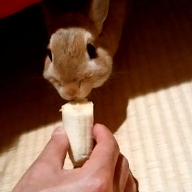バナナを食べると…の画像