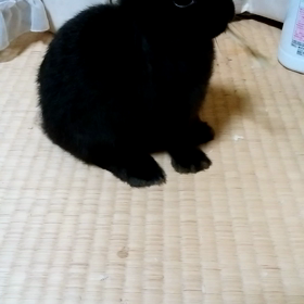 もりもり食べて育ってますの画像