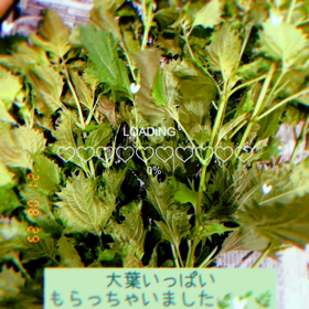 オンラインレッスンの画像