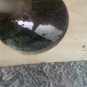 朝から癒されるの画像