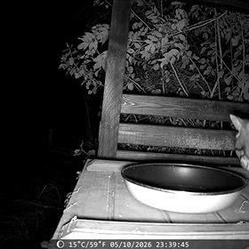 動物観察、狩猟用のカメラの画像