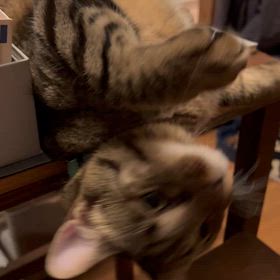 ゴメン！カァちゃんは息抜きしてくる！の画像