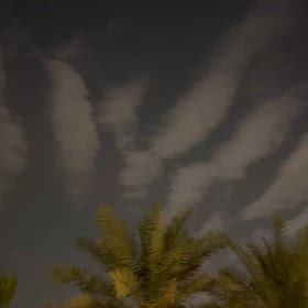 何雲？の画像