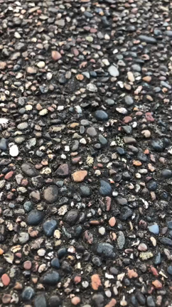 手のひらを太陽にの記事動画