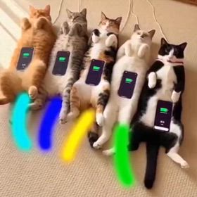 2026/09/14の画像