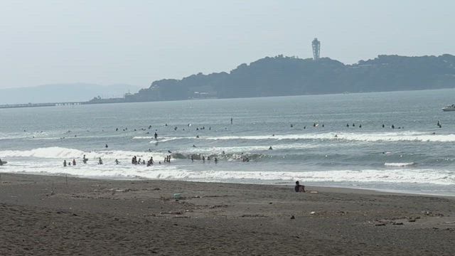 朝散歩の記事動画