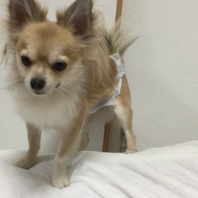 離婚‥の画像