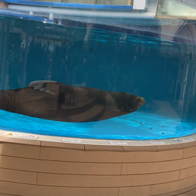 てすとの画像