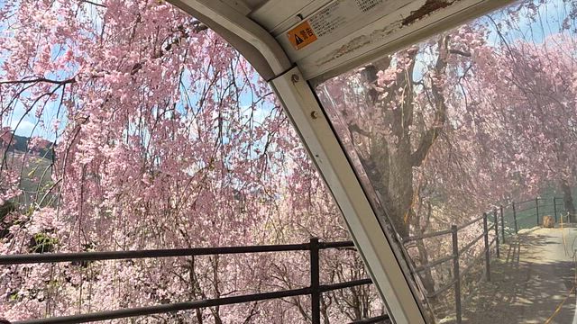 友遠方より来るの記事動画