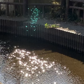 青龍さんからのメッセージ✨の画像