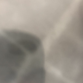 ベビーが遊びにきてくれたよの画像