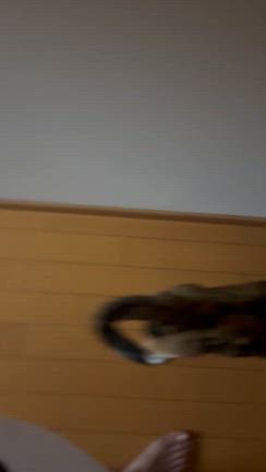 1つで完結と向き合った時間。の記事動画