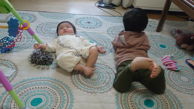 仲良し兄妹の記事動画