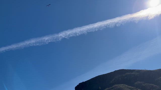 子連れグランカナリア旅行③ パルミトスパークの記事動画