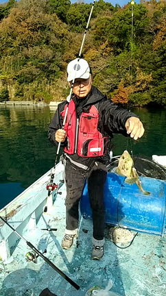 井伊渡船釣果情報の記事動画