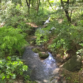 天然のソルフェジオ♥️の画像