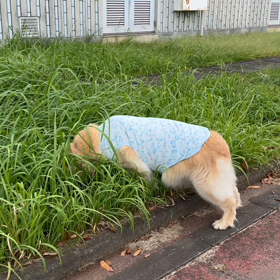 1ヶ月の画像
