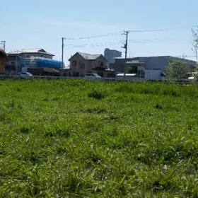 いないの画像
