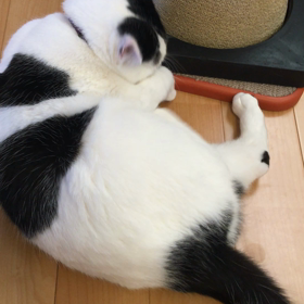 、、、何したいんですか？？の画像