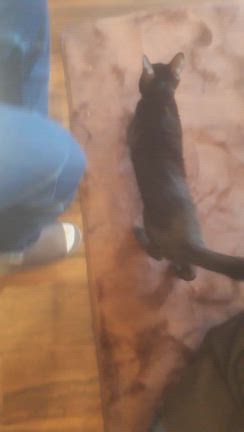 しじみを応援してくださった皆さまへの記事動画