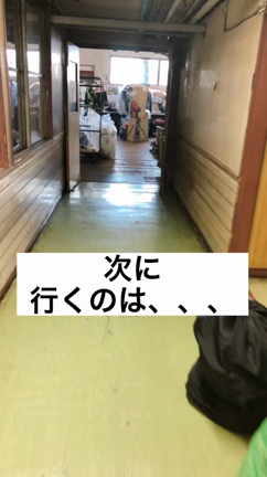 手放すことを決めました！まずは何でもやってみる！！の記事動画