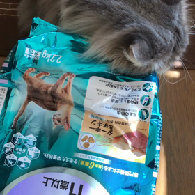 メイの〜〜の画像