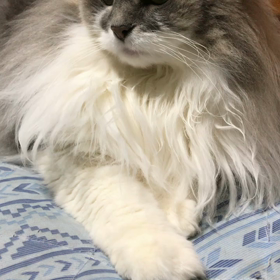 におう！の画像