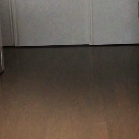 メイがやって来たの画像