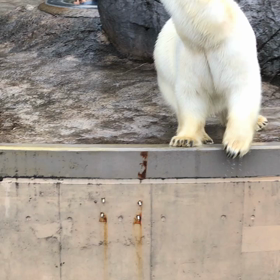 久々の北海道の画像