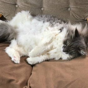 動いた！の画像