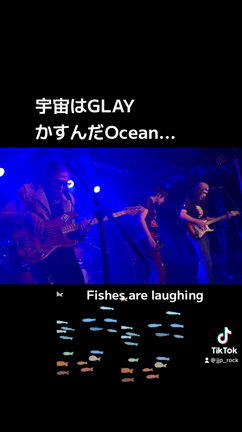 うた　Fishes are laughingの記事動画