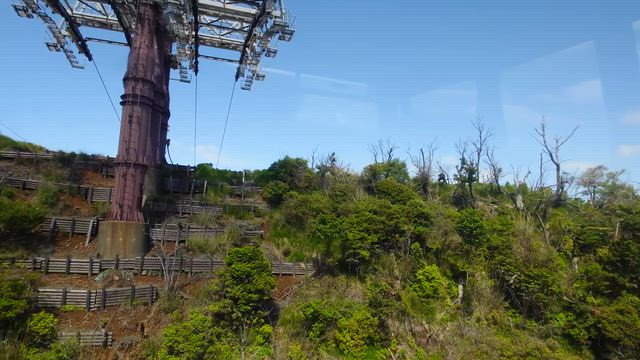 土曜日☀全国やっと半そでデビュー今年も蚊とはさよならの記事動画