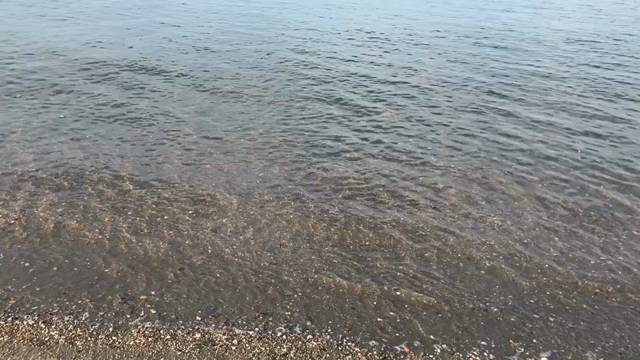 朝トレの記事動画