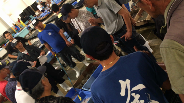 今朝の三河湾の記事動画