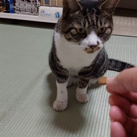 おやつの画像