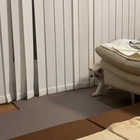 補腎をすることで、共にいる時間を長く…の画像