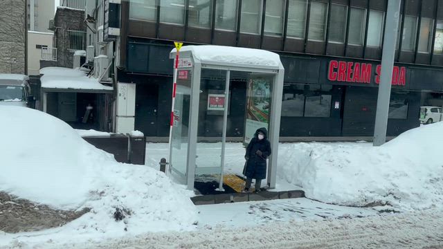 雪の《札幌第3回レッスン会》でした〜♪の記事動画